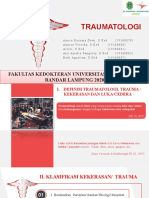 Traumatologi VRS
