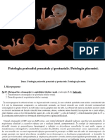 Patologia Perioadei Prenatale Și Postnatale. Patologia Placentei - 1