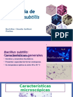 bacillus-subtilis
