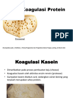 Praktikum.2. Responsi Sifat Fungsional Protein