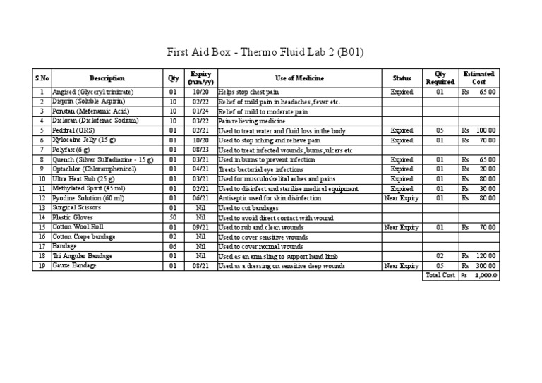 First Aid Box Inventory and Pricing | PDF | Wound | Burn