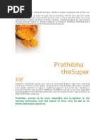 Prathibha Is An Improved Turmeric Variety