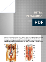 Sistem PerkemihanTGS HAFIZAH RAHMI