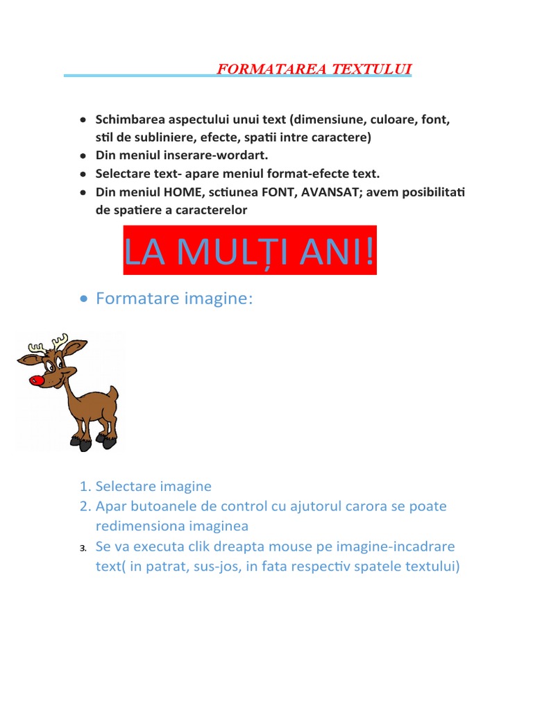 Formatarea Textului | PDF