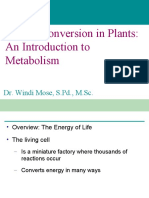 An Introduction To Metabolism