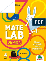 Giochi Estratti Mate Lab Junior 2 PDF