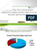 Role protein digestion plays optimizing broiler performance