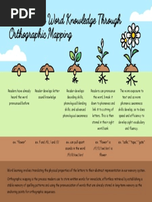 orthographic mapping infographic