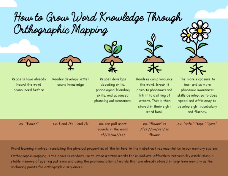 Orthographic Mapping for Word Knowledge | PDF