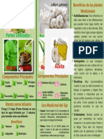 INFOGRAFIA Plantas