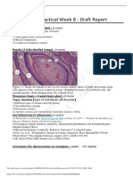 DEV2011 2018 Practical Week 8 DRAFT REPORT PDF