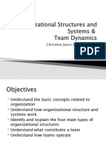 Organizational Structures and Systems &