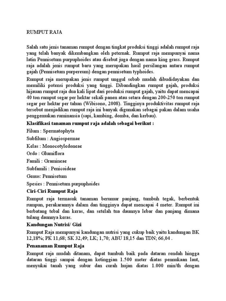 Keunggulan dan Budidaya Rumput Raja | PDF