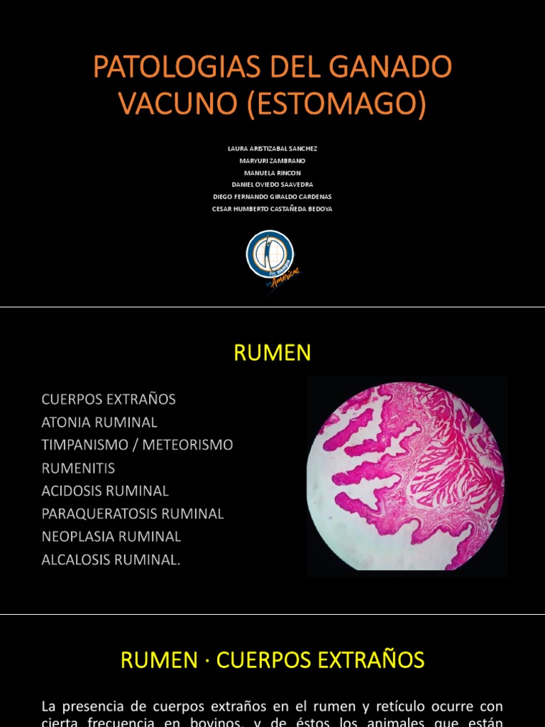 Tratamientos de Atonía y Rumenitis en Bovinos | PDF | Diarrea | Indigestión