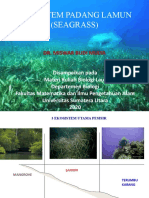 Ekosistem Padang Lamun (Materi Ke-3)