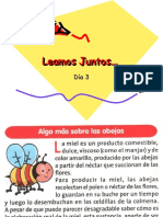 Abejas Dia 3