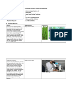 Laporan Stomata Muhammad Iqbal Maulana. M 2010212035