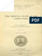 Wild Medicinal Plants of the United States by Alice Henkel 1906