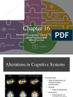 Alterations in Cognitive Systems, Cerebral Hemodynamics, and Motor Function