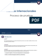 Proceso de Pruebas - Normas Internacionales