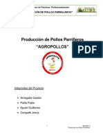 4 - PP Pollos