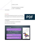 Hormonas Neurohipofisiarias Oxitocina 2 Corte Endocrino