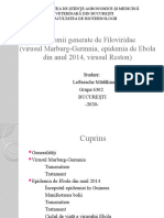 Epidemii Generate de Filoviridae (Virusul Marburg-Germnia, Epidemia de