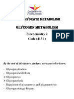 Glycogen Metabolism