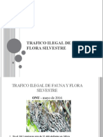 Presentacion Trafico Ilegal de Fauna y Flora Silvestre