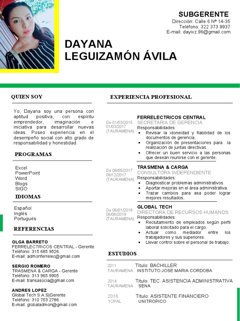 Perfil Profesional de Dayana Leguizamón | PDF | Economias | Business