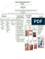 Mapa Conceptual Guia 1 Preventiva