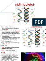 Acidi Nucleici