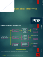 Adaptaciones Seres Vivos