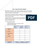 Modulo 1, Unidad 4, Actividad Tabla Estructura Cerebral