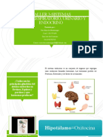 Laboratorio 3-Sistema Endocrino