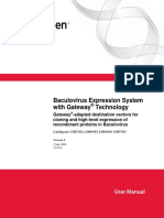 Baculovirus Expression System With Gateway Technology: User Manual