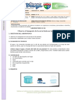 Laboratorio+1 +7°+