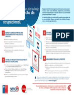 Planificacion Ocupacional - Infografia Carta