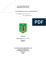 Laporan Praktikum Mikrobiologi Dasar: Dosen Pengampu: Dra. Noverita, M.Si. Dra. Yulneriwarni, M.Si