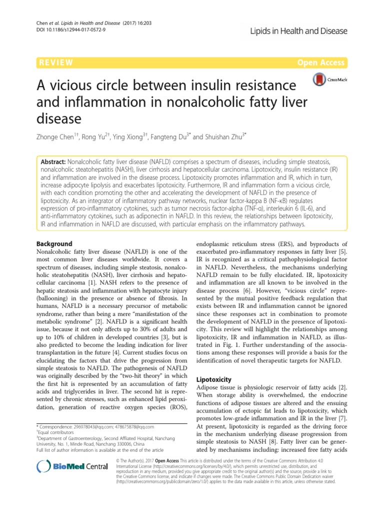 A Vicious Circle Between Insulin Resistance and Inflammation in ...