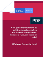 Guia Implementacion Politicas Departamentales Veh 3