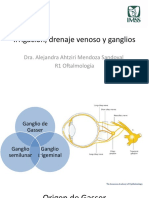 Irrigación y Drenaje Venoso