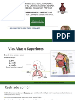 10-Infecciones de Vias Respiratorias Superiores