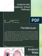 Anatomi Dan Perjalanan Visual Pathway - Reinhard Calvin Taroreh 20014101054