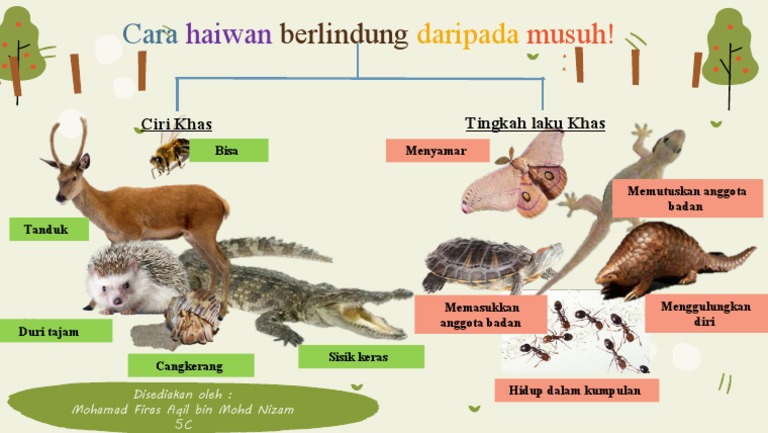 Tingkah Laku Khas Haiwan Berlindung Daripada Musuh! (Firas)  PDF