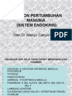 Modul 11 Endokrin Hormon Pertumbuhan MAN - Dr.way