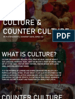 Culture and Counter Culture by Sahil Asharaf Group13