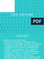 Virus Informatic - Prezentare