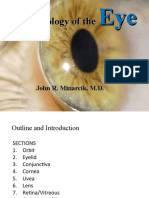 Pathology of the Eye: Guide to Eye Disease Diagnosis & Treatment