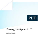Zoology Assigment: 05: Acanthocephala